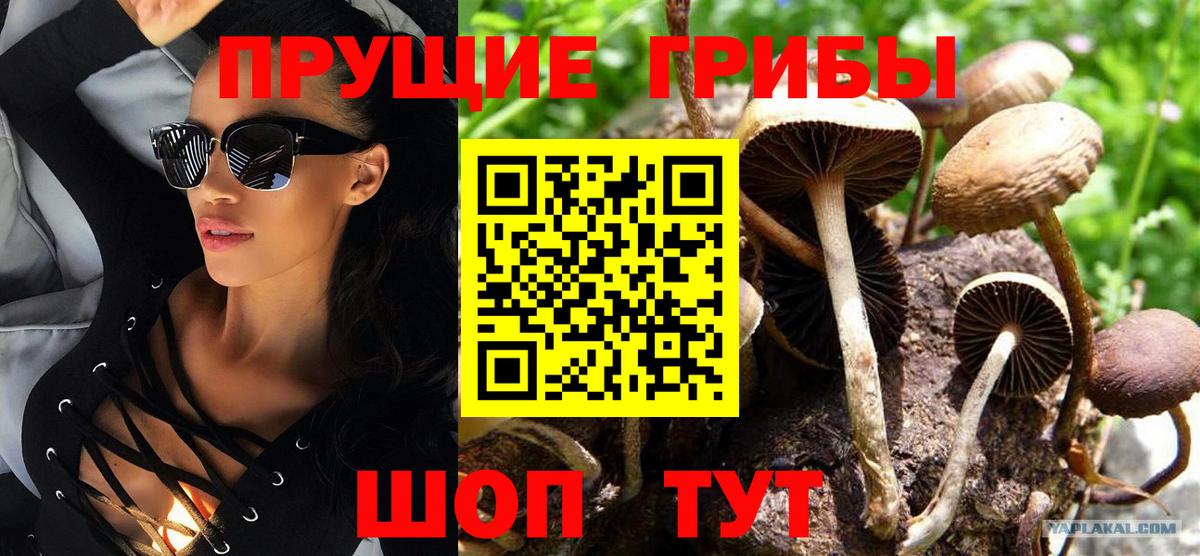 Псилоцибиновые грибы MAGIC MUSHROOMS Ишимбай