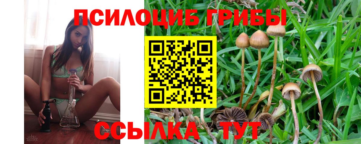 Ишимбай  Псилоцибиновые грибы Psilocybine cubensis  Вход с VPN 